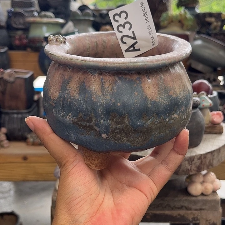 重庆小燕子欢迎大家233
