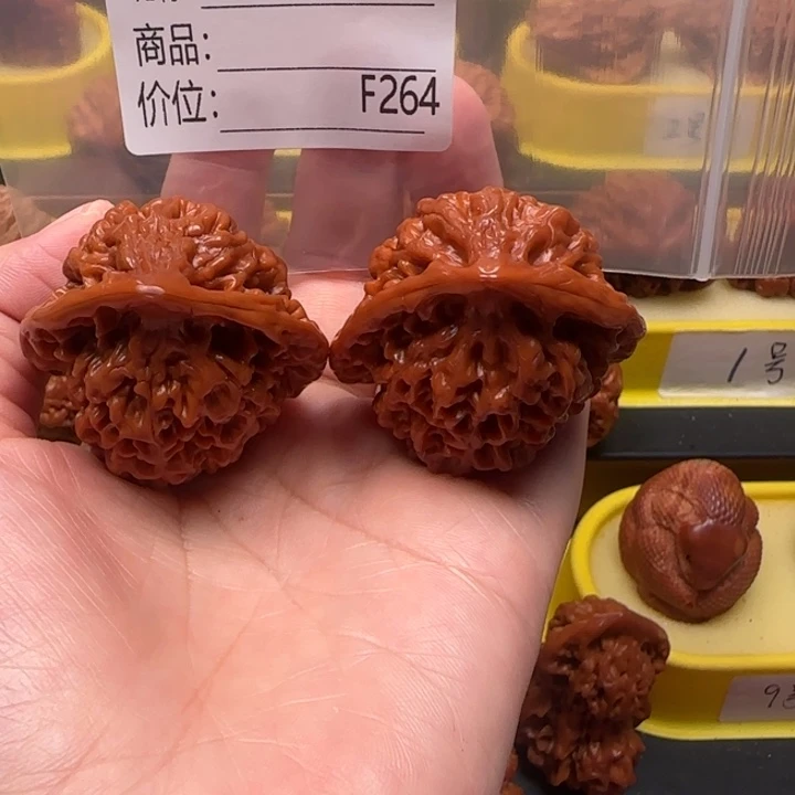 纵***海核桃蛇王蛇王蛇王43