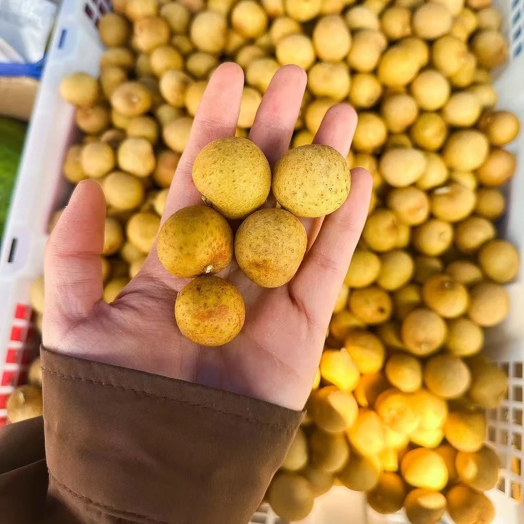 桂圆 500克 发一盒