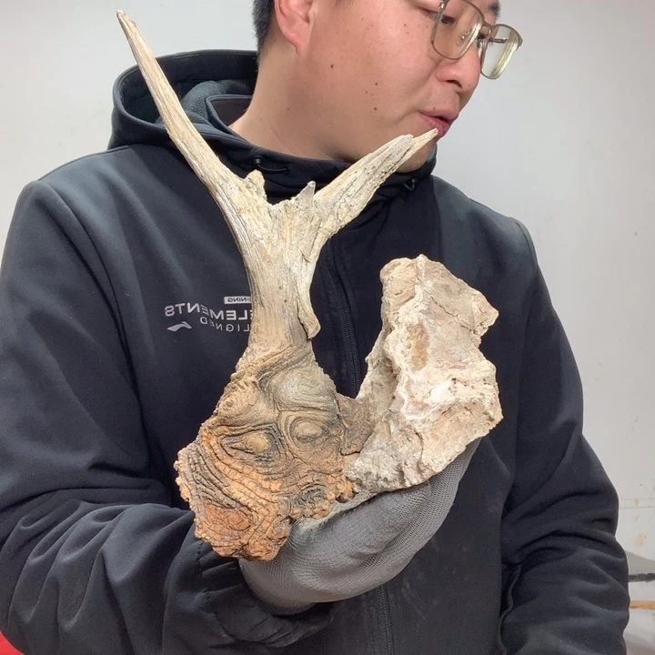 x***y香榧木工艺品惊喜