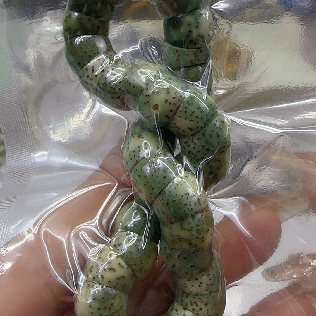 星月菩提手串111荣耀绿星月菩提1.0大肠单圈