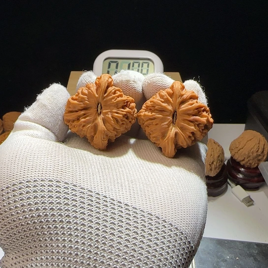 文玩核桃把件大*象41三角