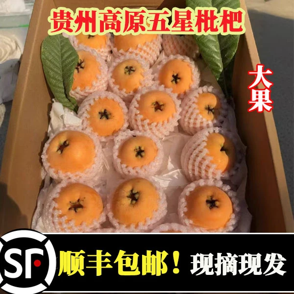 枇杷露天土枇杷高原五星枇杷应季水果果园直发顺丰包邮果味浓郁