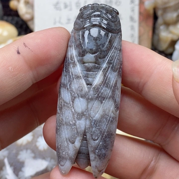 硅化珊瑚（珊瑚玉）颈饰未镶嵌