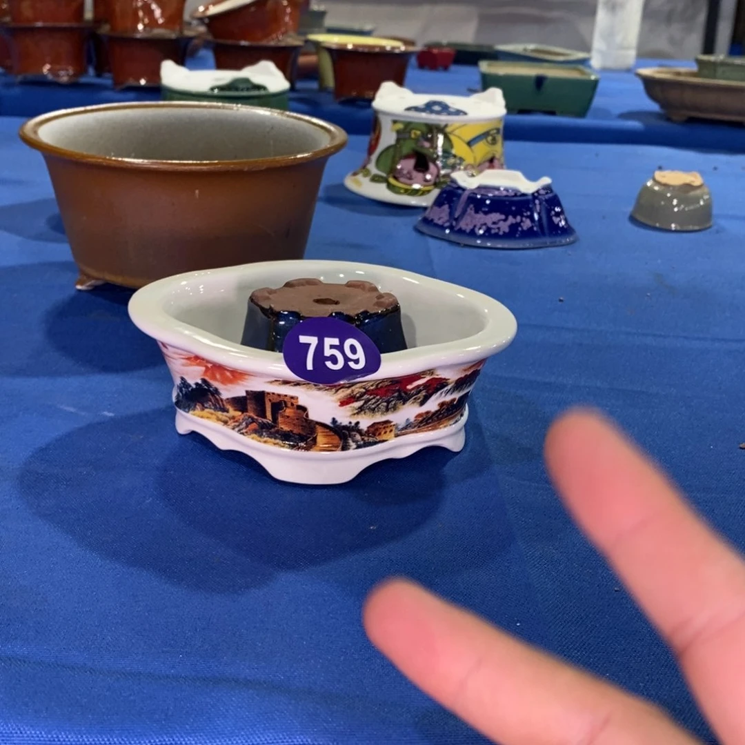 红陶天**上开开心心快快乐乐759