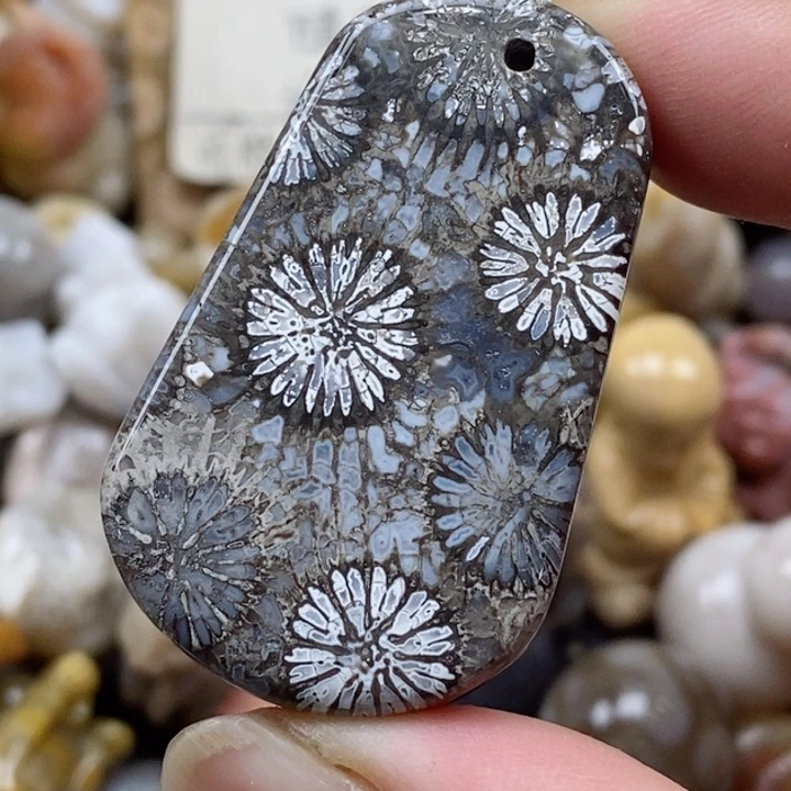 颈饰未镶嵌硅化珊瑚（珊瑚玉）