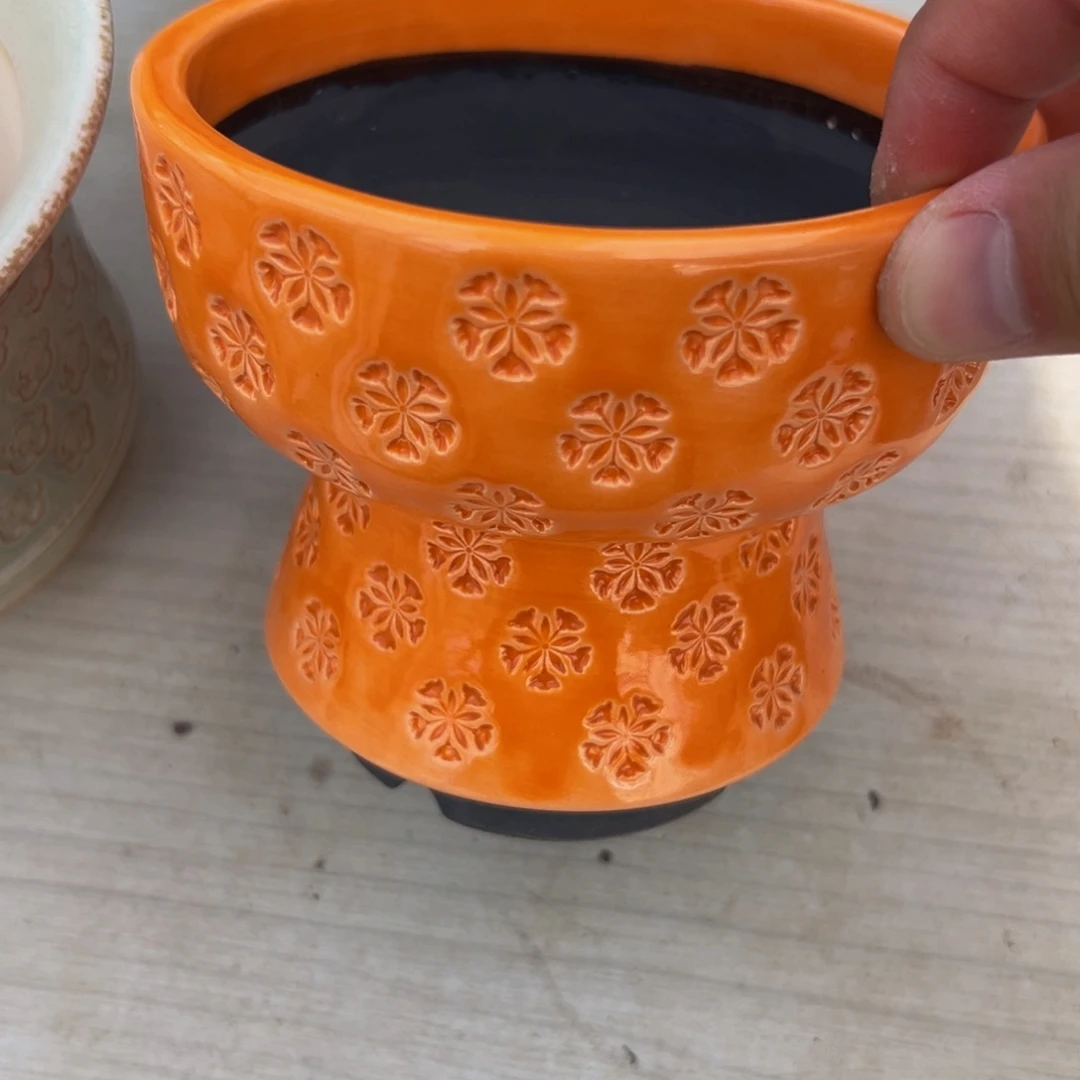 多肉一物一拍07061-57