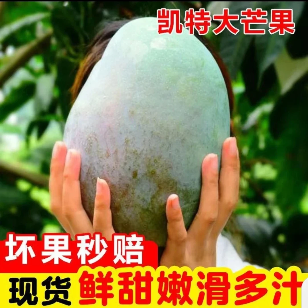 四川攀枝花凯特芒果新鲜当季水果酸甜多汁核小肉多