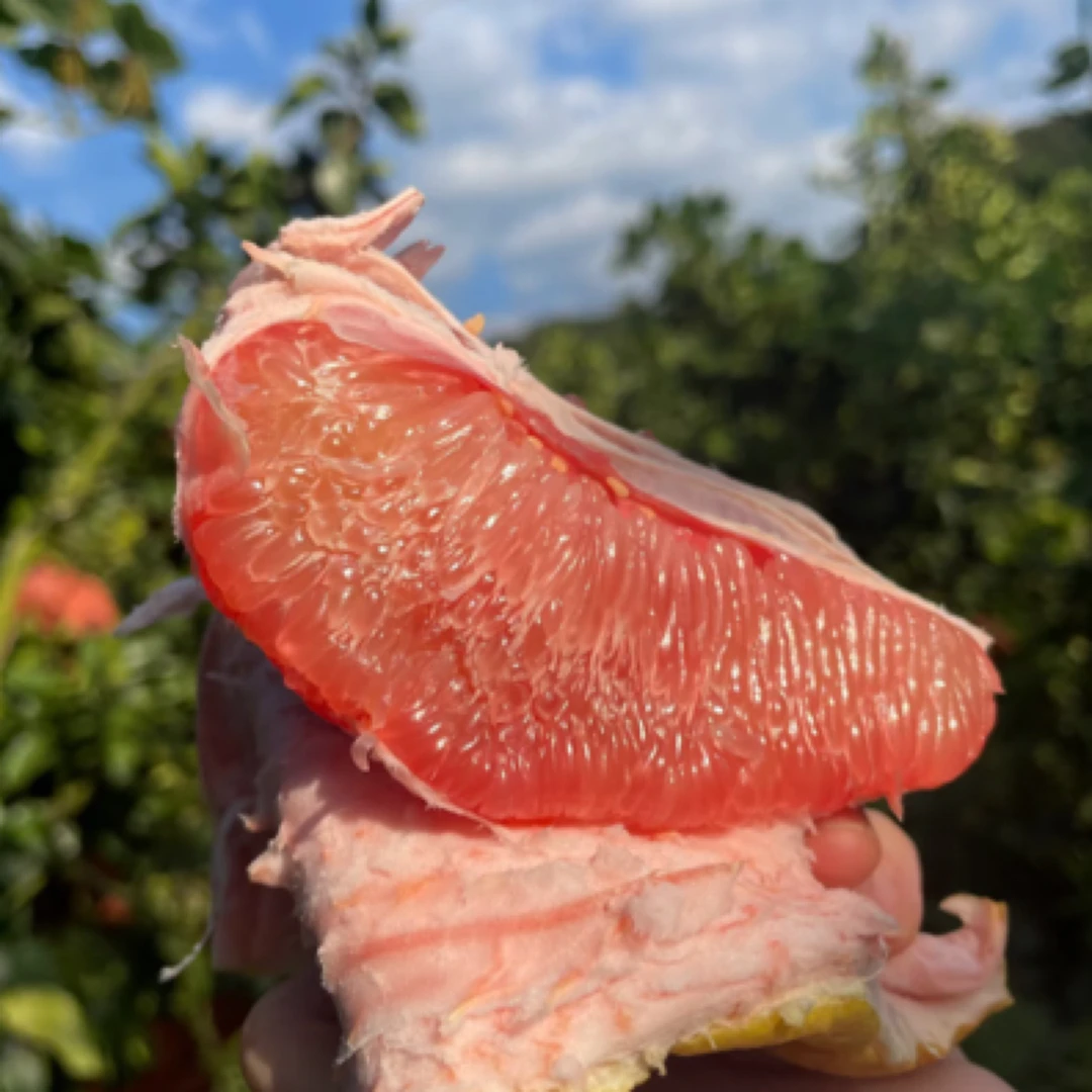 三红蜜柚 皮薄馅大 酸甜美味可口