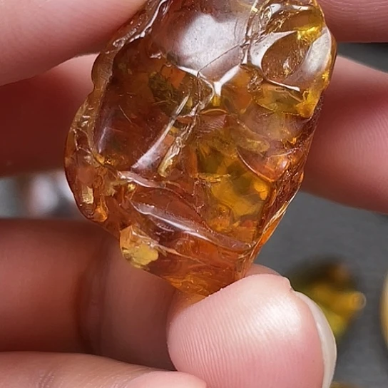 定制琥珀定制天然恐龙时代甲壳虫