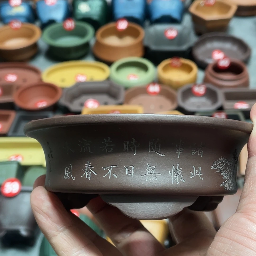 紫砂小盆10*3cmmmmmm