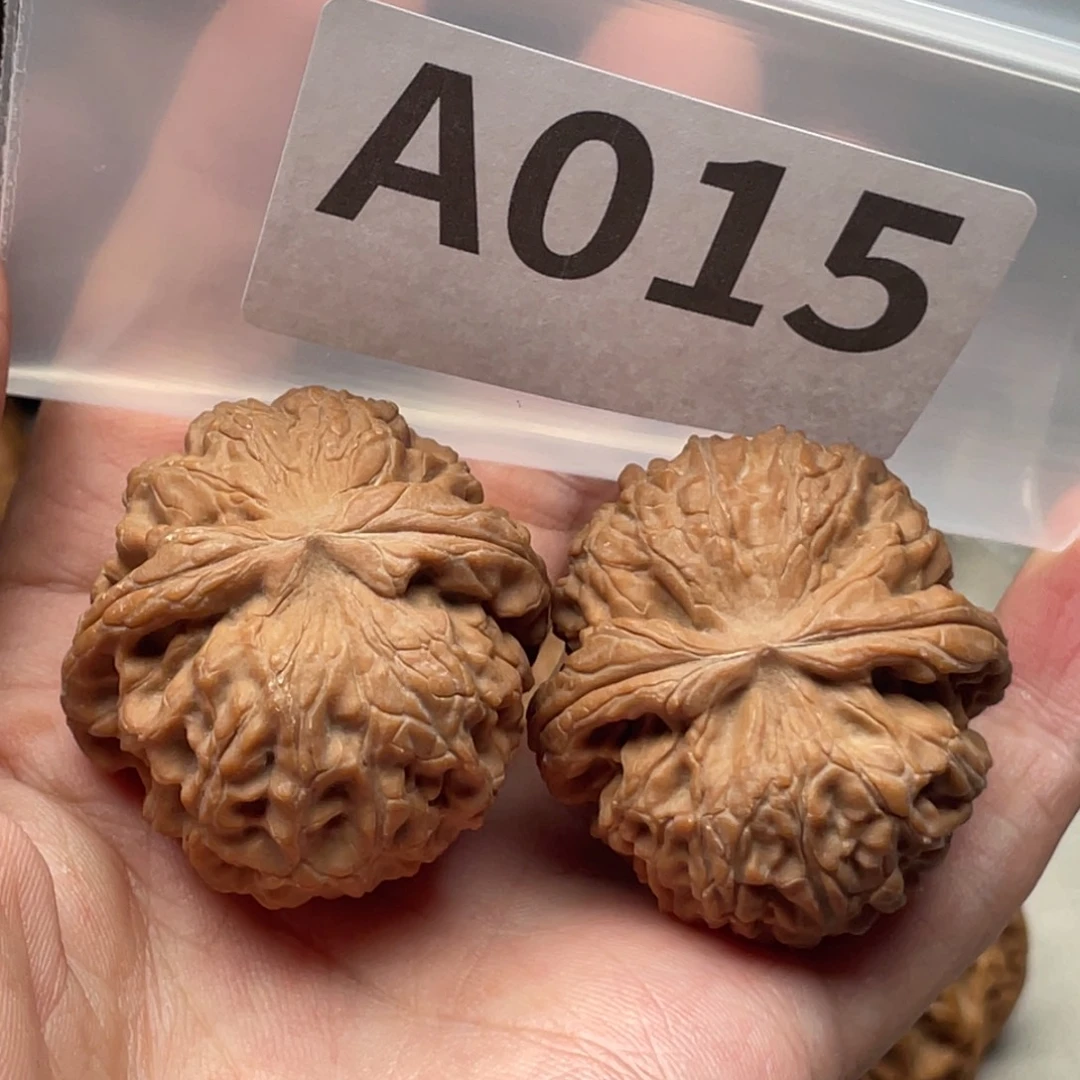 把件文玩核桃龙眼