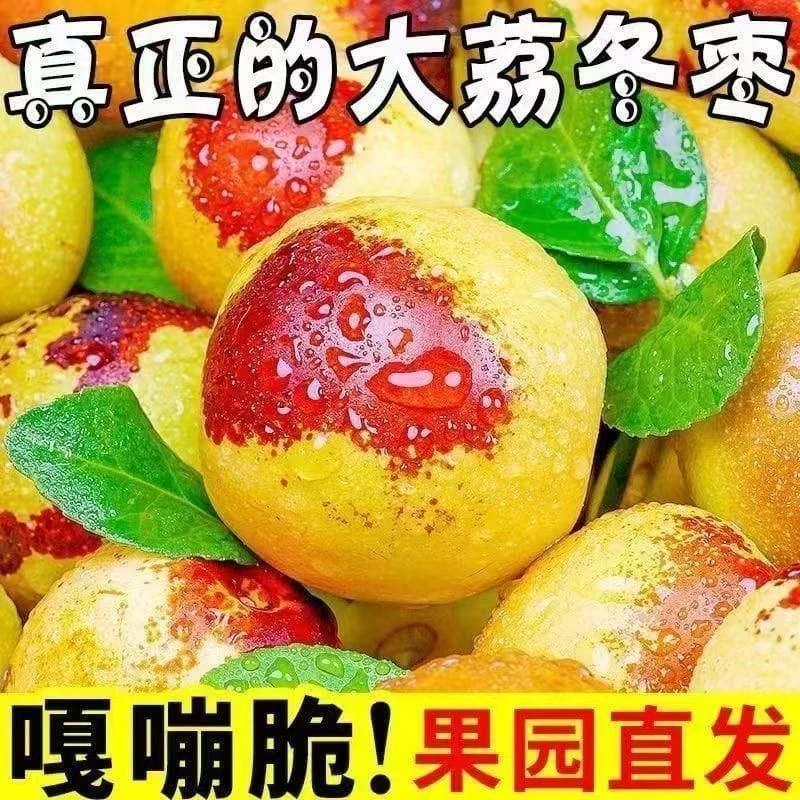 【果臻甜】陕西大荔冬枣当季水果新鲜香甜脆甜果园直发