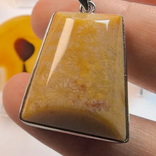 非金属时尚配饰可观赏配带