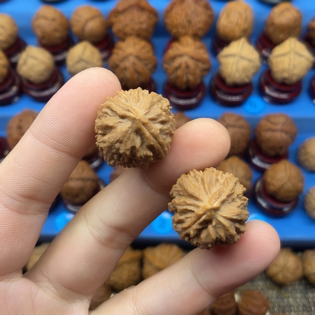 把件文玩核桃龙脊背