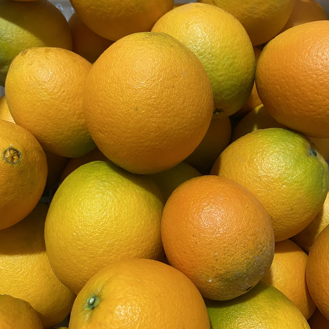 鲜德客永春本地脐橙现摘现发顺丰包邮