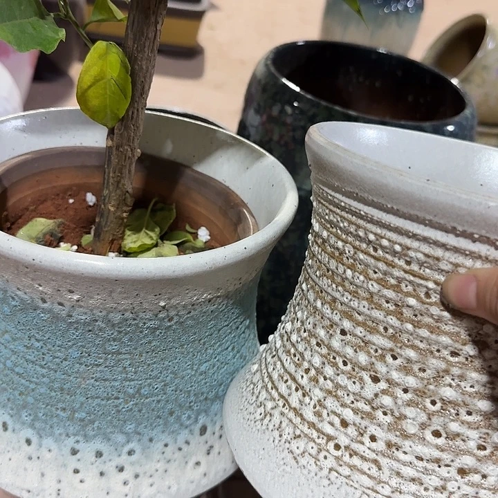 口径18高度21花盆白色+蓝色泡泡