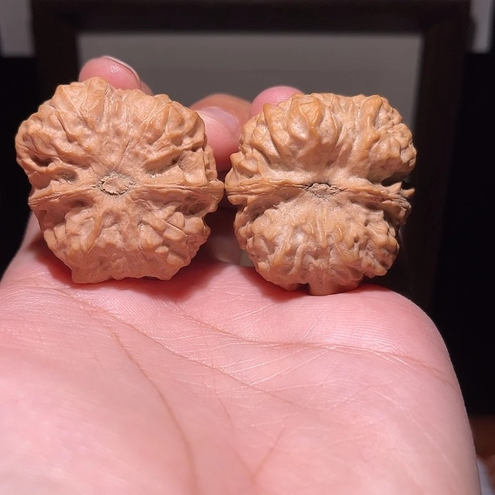 核桃手串/手链1901