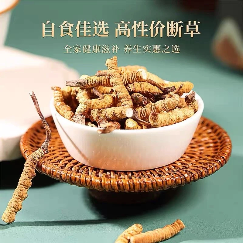 新人福利 冬虫夏草 干断草 20克1瓶