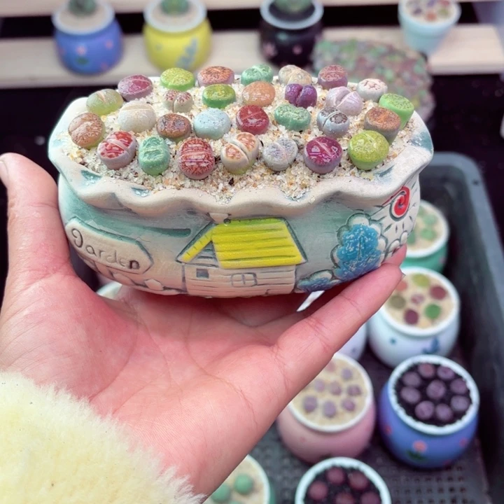 301零下地区记得拍保温箱