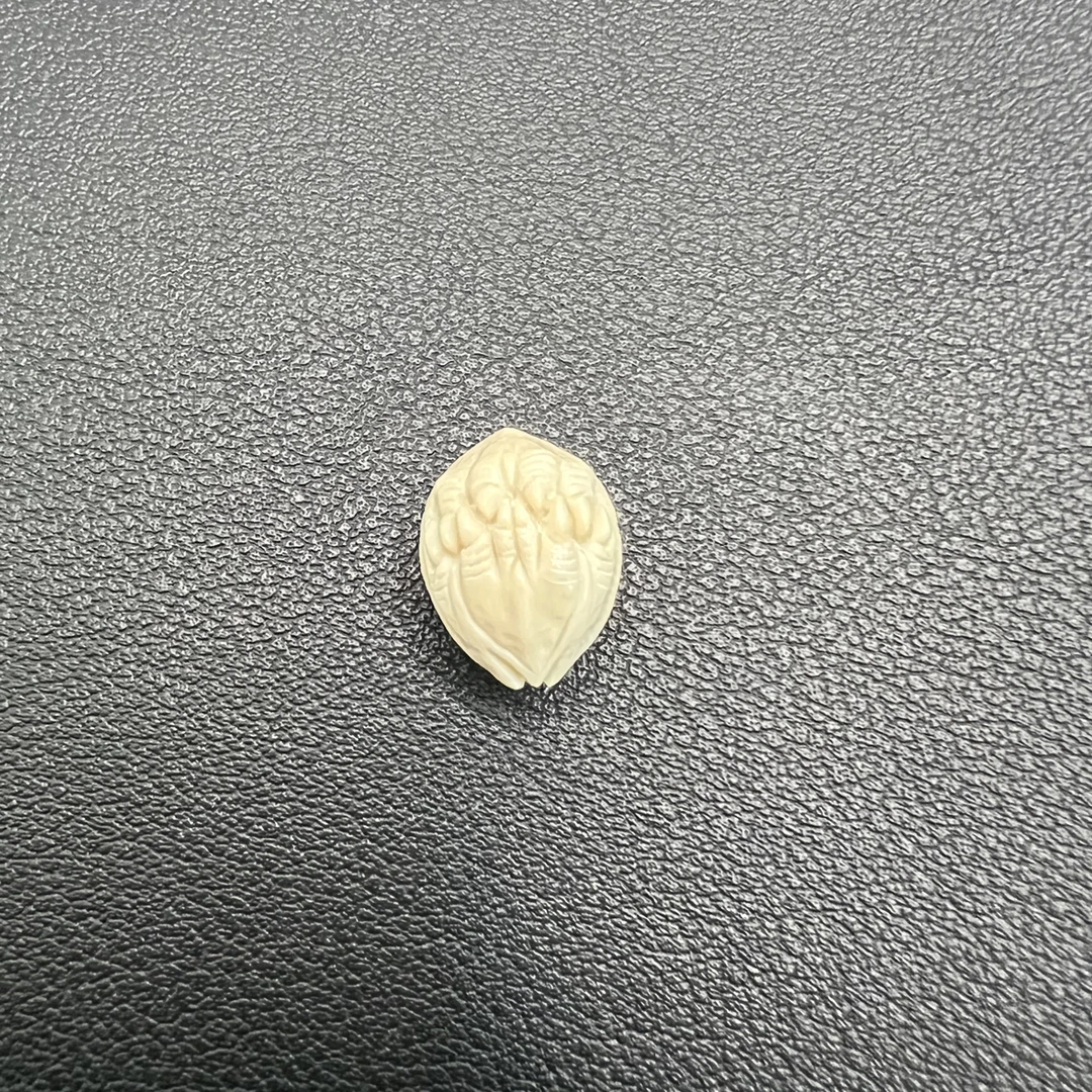纯天然猛犸牙12吞噬三通