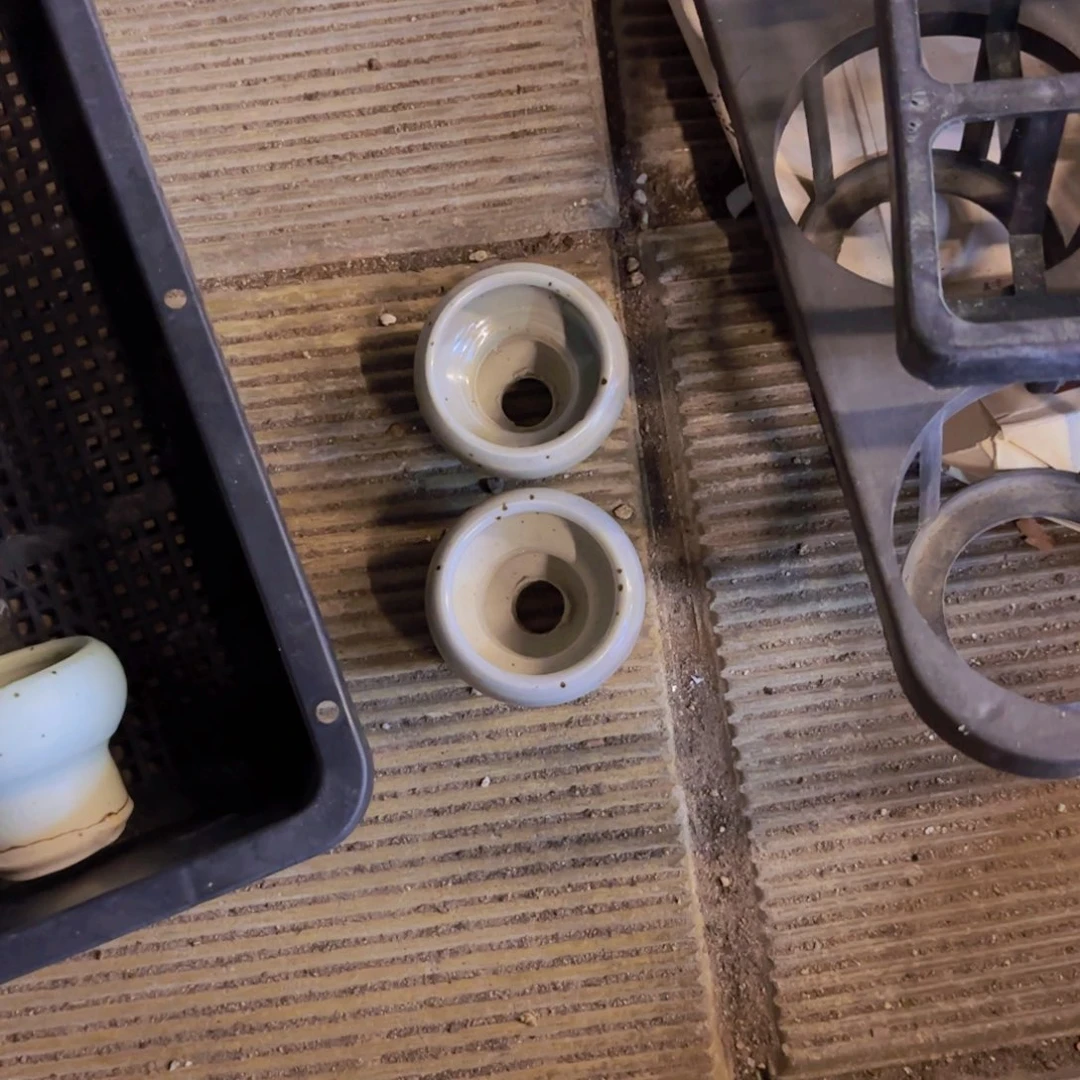 屁***肉两个盆一物一拍1111