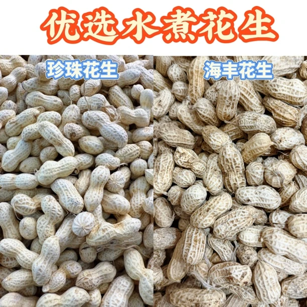 农家水煮珍珠花生/海丰当季农家水煮花生