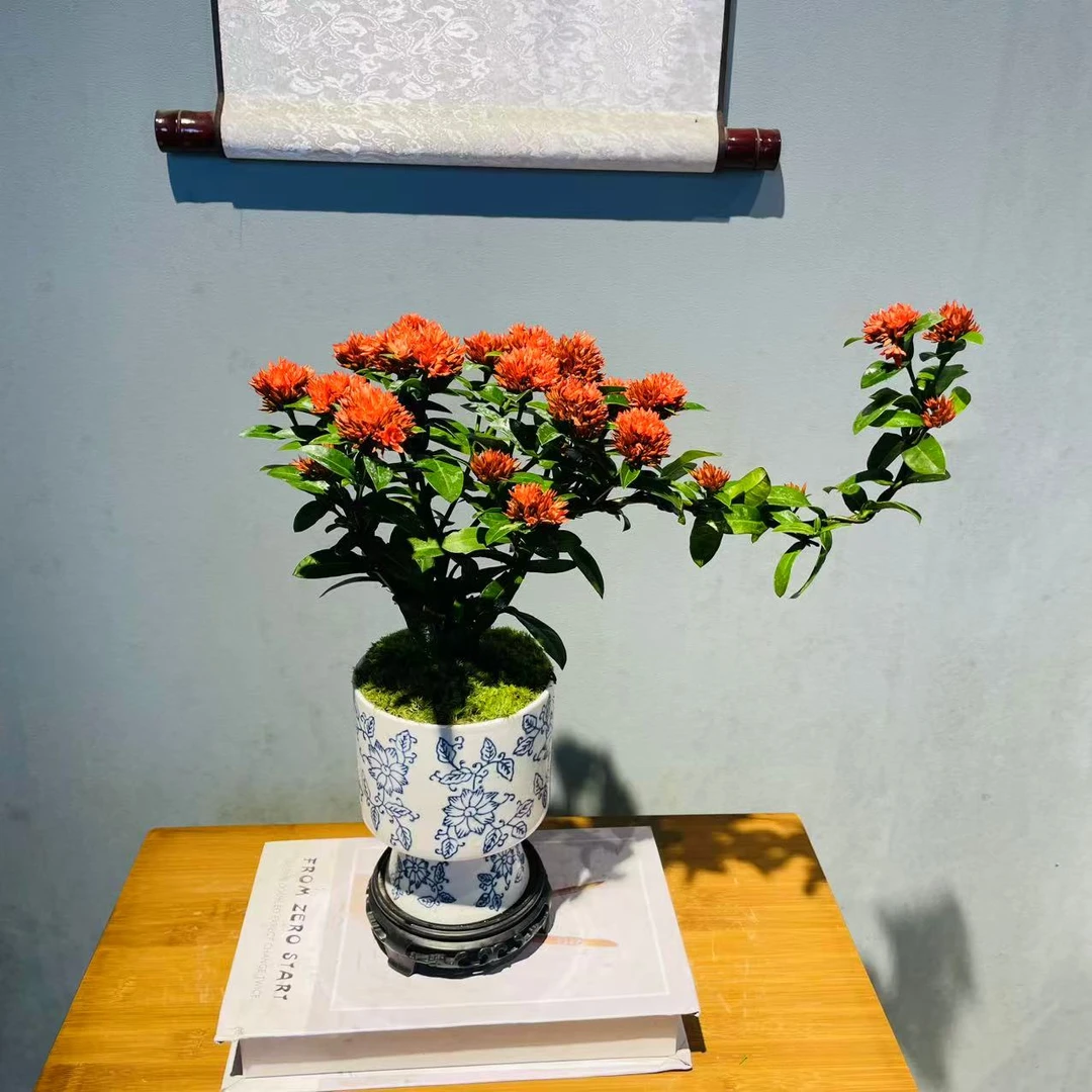 ZF莲花高脚小号青花陶瓷盆飘枝龙船花