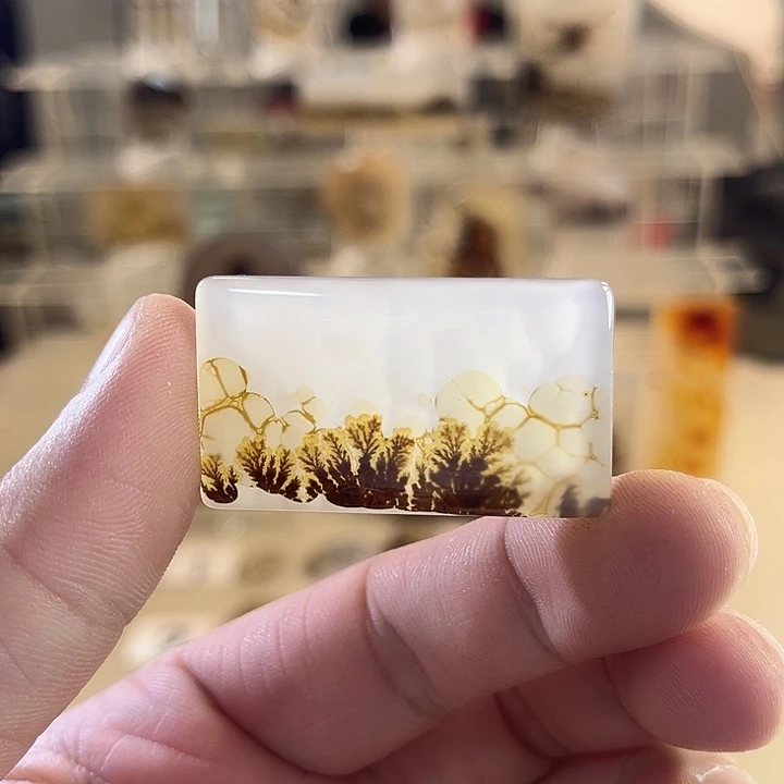 未镶嵌吊坠(不含链)玛瑙/玉髓