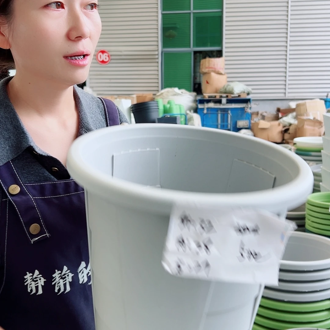 玫瑰盆320#灰白5个无托