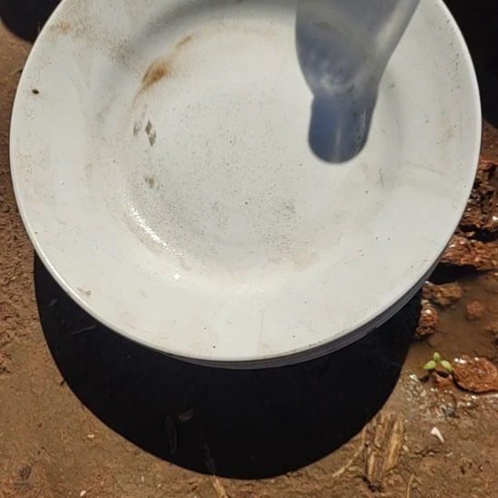 瓷汤盘，口径23国营四厂库存