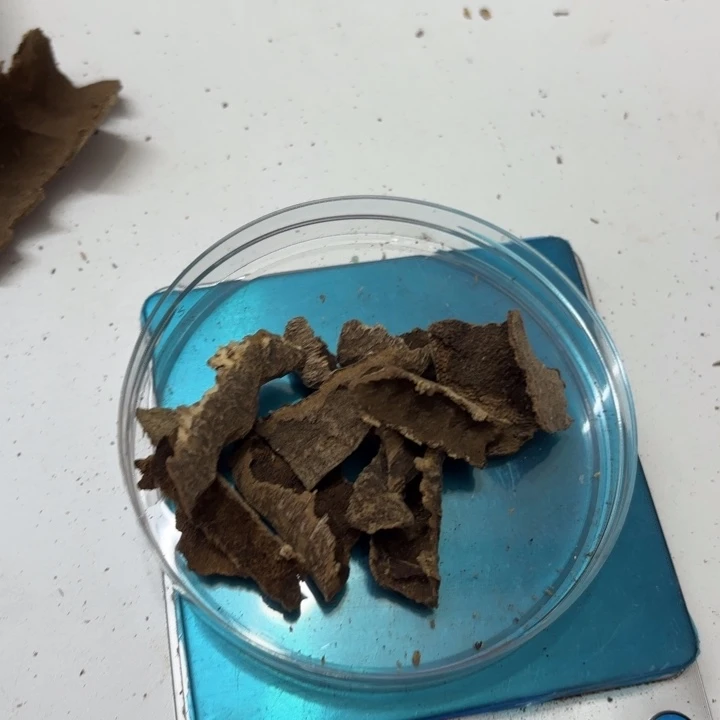 y***h沉香沉香碎屑鸡母虫10克