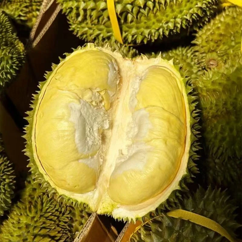 泰国金枕 树熟榴莲 新鲜榴莲  一果一重  核小榴莲同城配金枕泰国