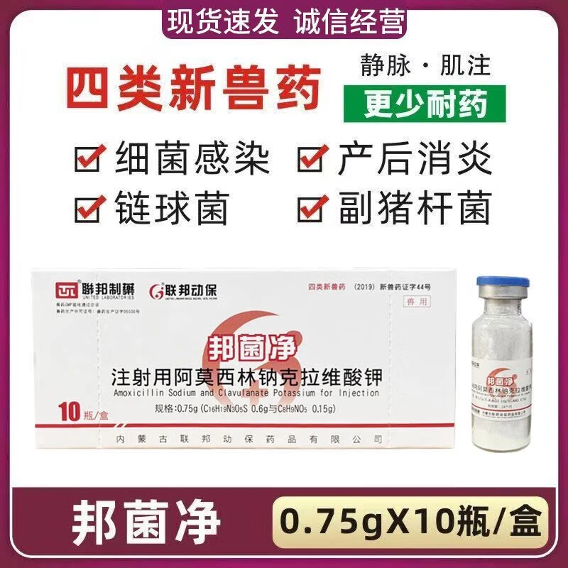 联邦动保阿莫西林克拉维的酸钾邦菌净