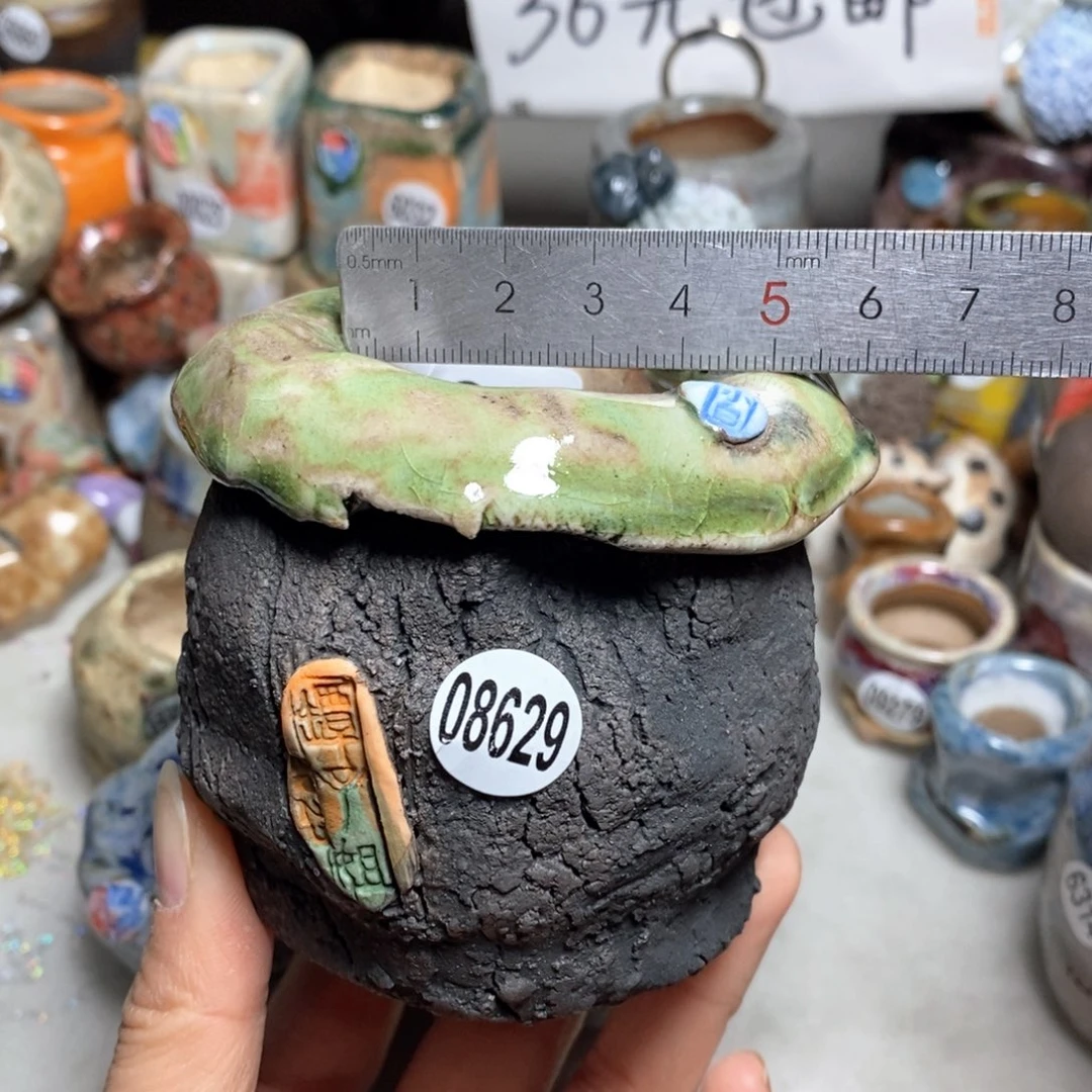 花盆拍3送一个小礼物