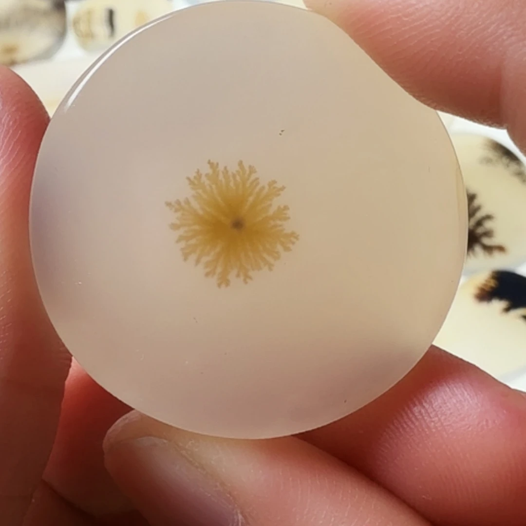 玛瑙/玉髓未镶嵌珠宝半成品