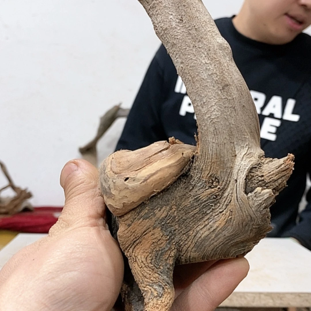 【闪购商品】柏木九****宝我们都是好孩子
