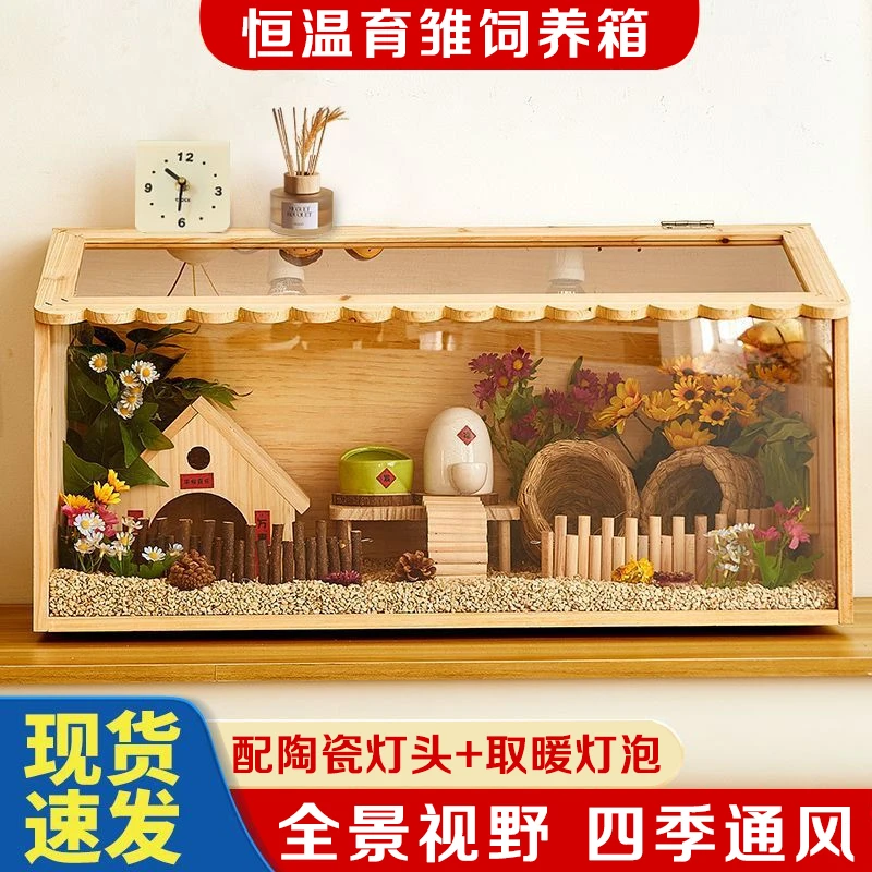 芦丁鸡饲养箱专用笼子小鸡育雏保温箱恒温造景小屋家用卢丁鸡养箱