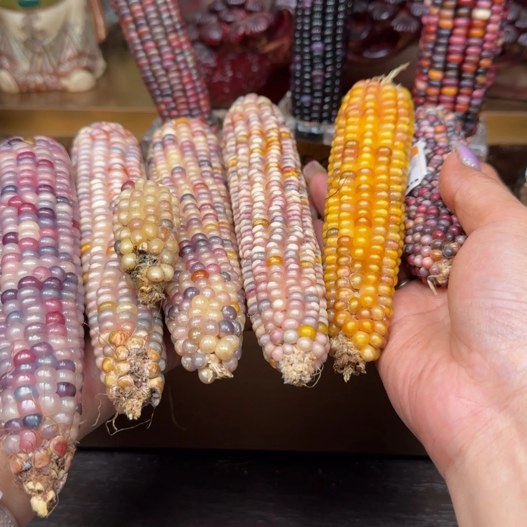 是***ˊ柏香籽/百香籽吊坠