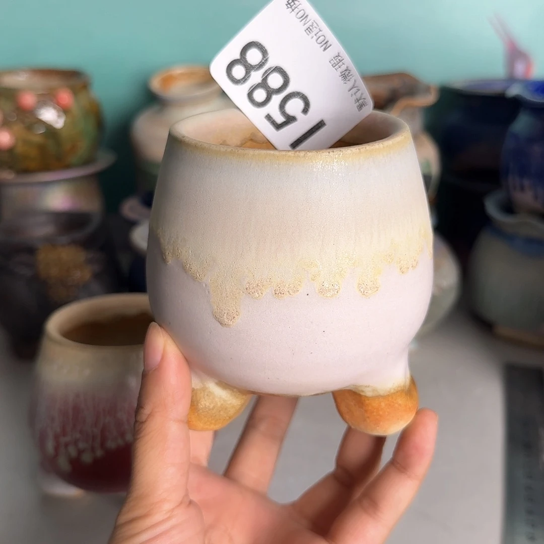 重庆小燕子欢迎大家588