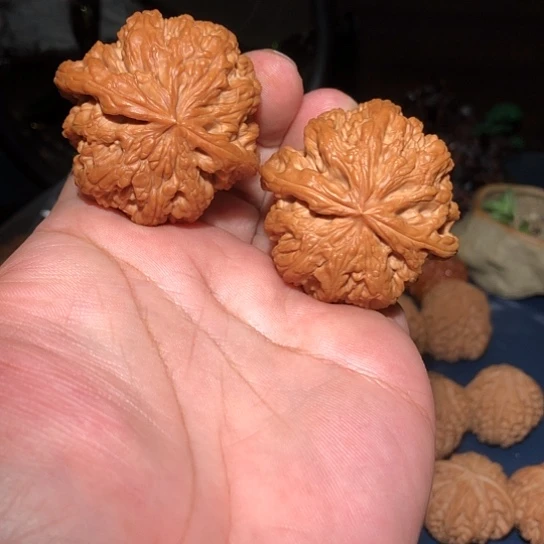 桃木边肚49精品球筋