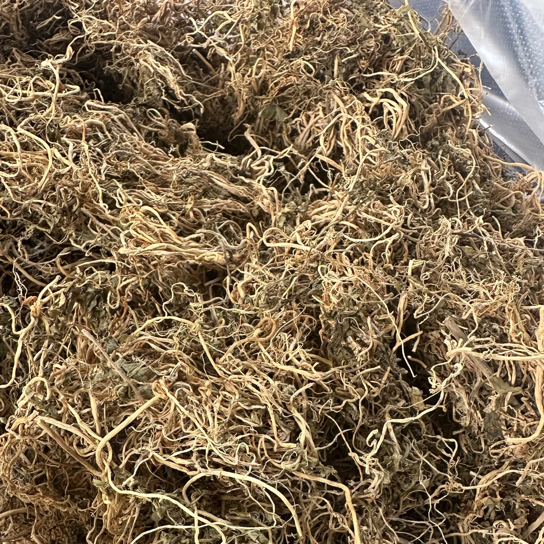 半边莲 半边连 广西本草