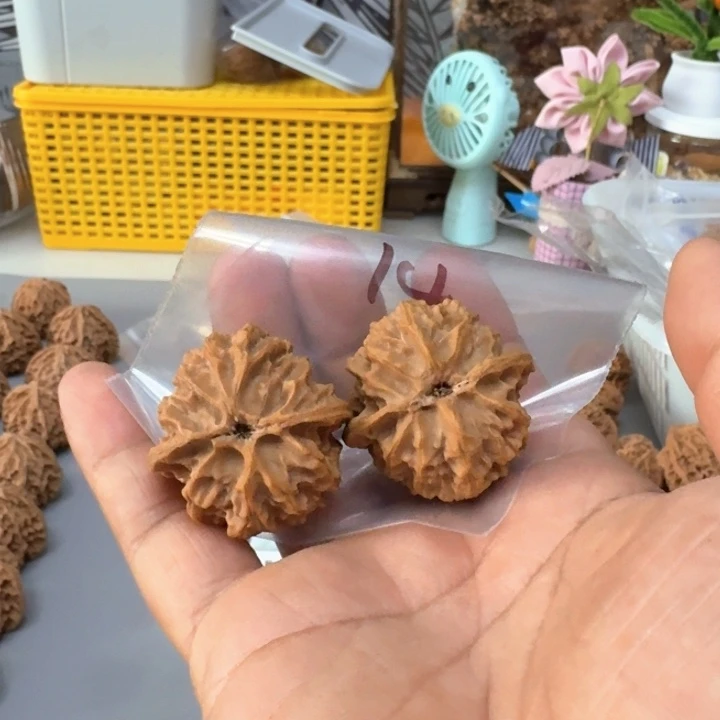 山***竹桃核把件苹果园38全品