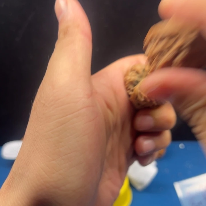 没***达不知道你是怎么想的呢