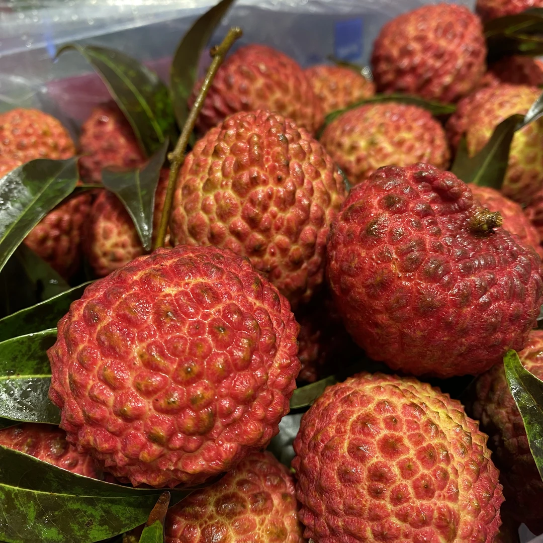 【磊哥心选】海南荔枝王一箱3斤左右海南省