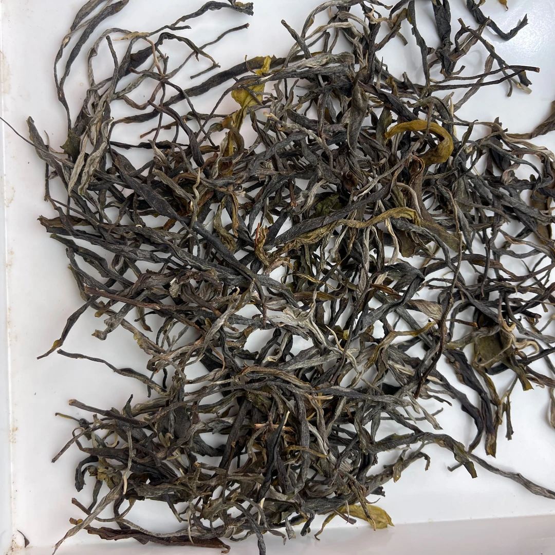 7月3日 25年金三角单株普洱茶 生茶散茶 A018号