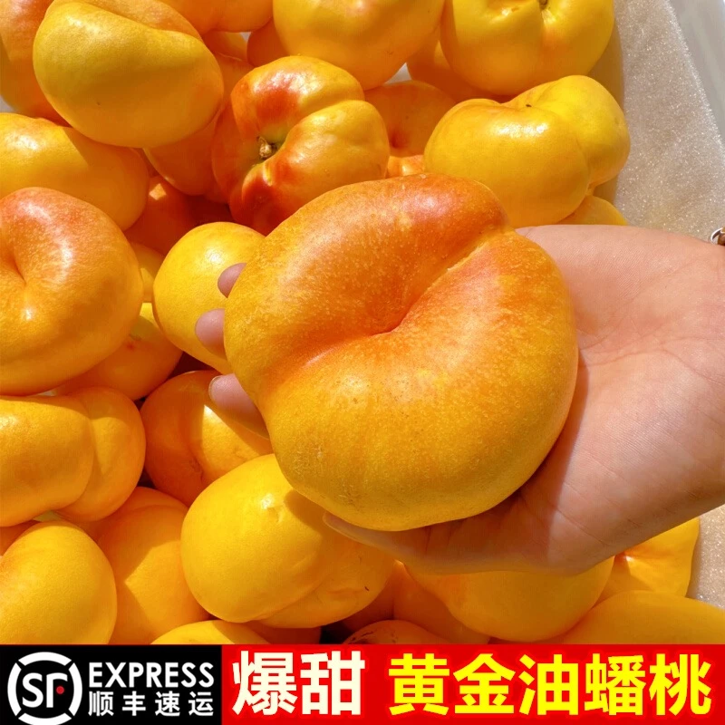 【顺丰包邮】彩虹油蟠桃山东蒙阴蜜桃纯甜无酸桃香浓郁软糯香甜