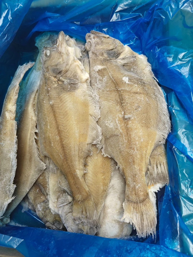 整条碟鱼直播间称重链接1顺丰包邮