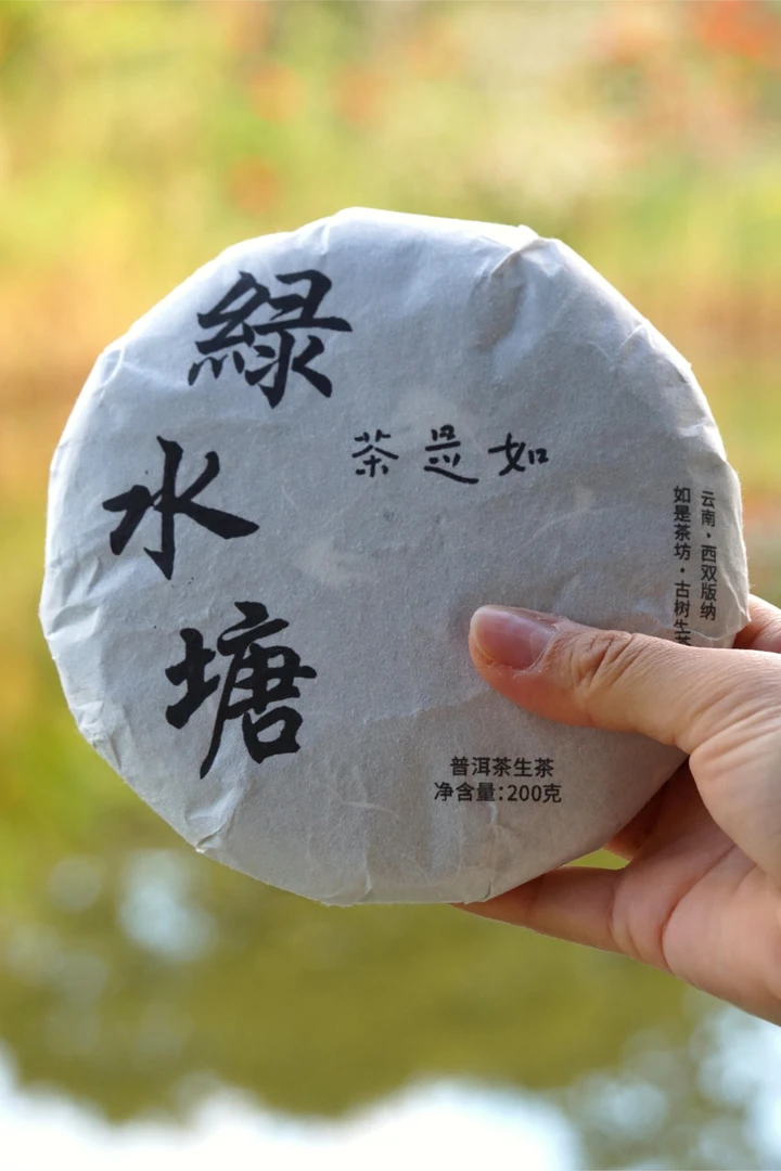 2024【绿水塘】下磨烈古树混采头春普洱茶生茶