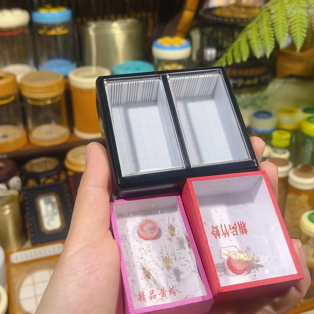 蟋蟀双格有机竹蛉盒+竹蛉+小黄蛉